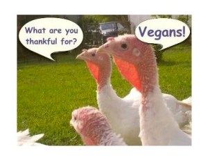 thankful-for-vegans